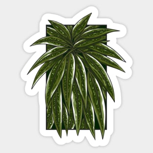 Vintage doodle illustration of Green Monstera Leaves Sticker